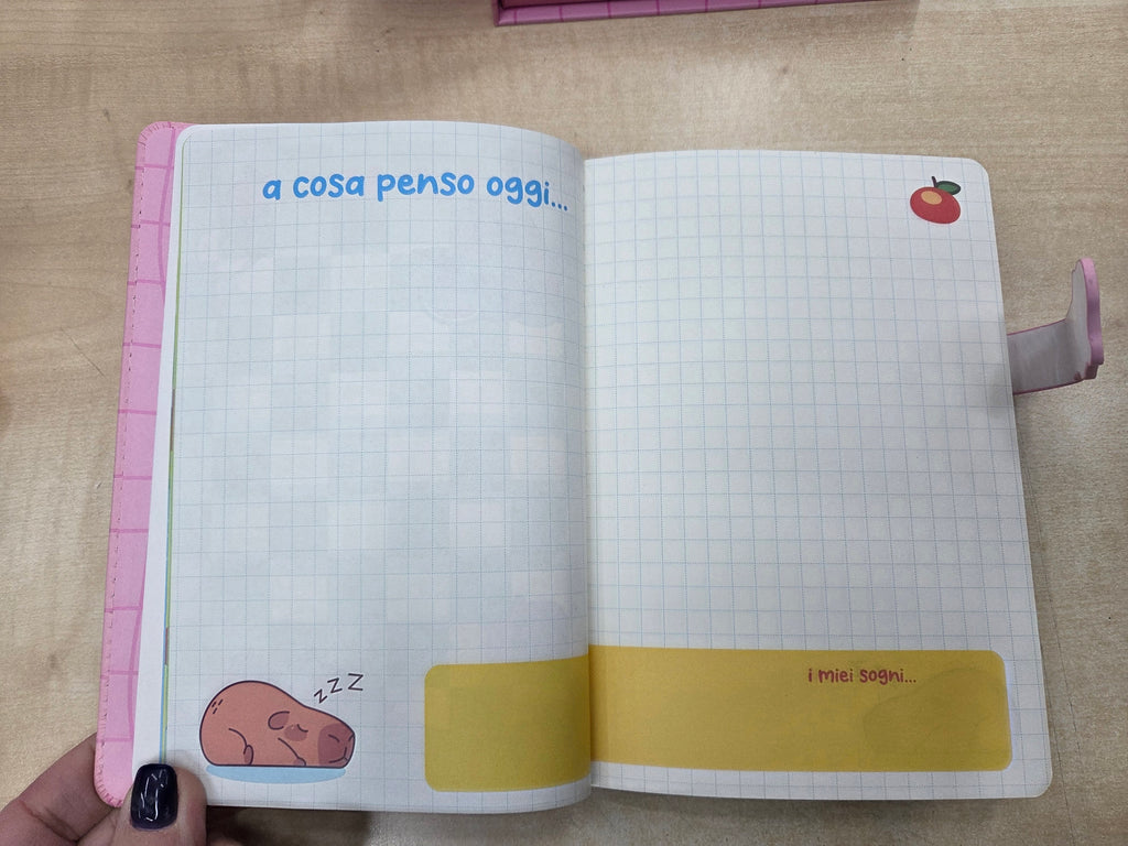 Tinta Unita Zoo: Notebook Capibara con scatola e lucchetto
