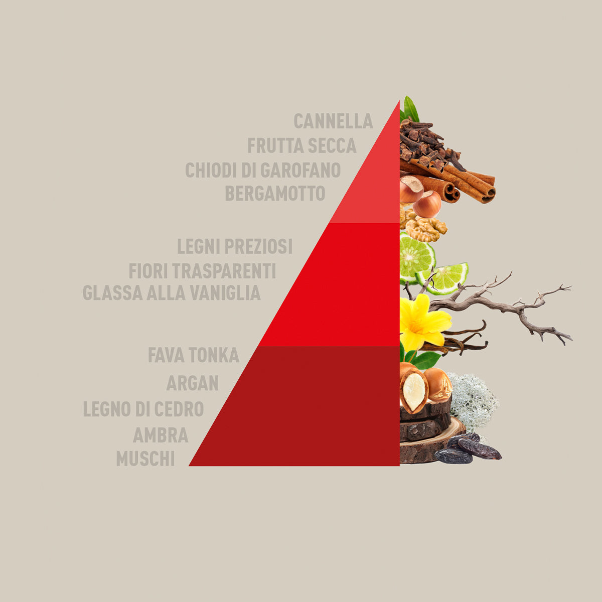 HOROTWINS Legni Preziosi: confezione regalo contenente il profuma bucato e il profumo spray per tessuti della stessa fragranza.