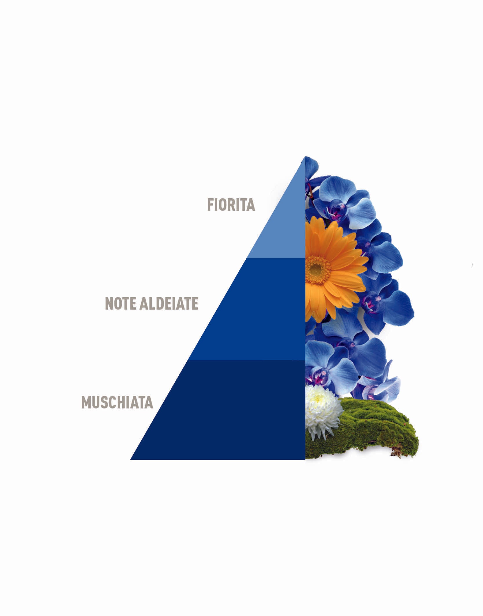 Horotwins BLU FIOR DI LOTO: confezione regalo contenente il profuma bucato e il profumo spray per tessuti della stessa fragranza