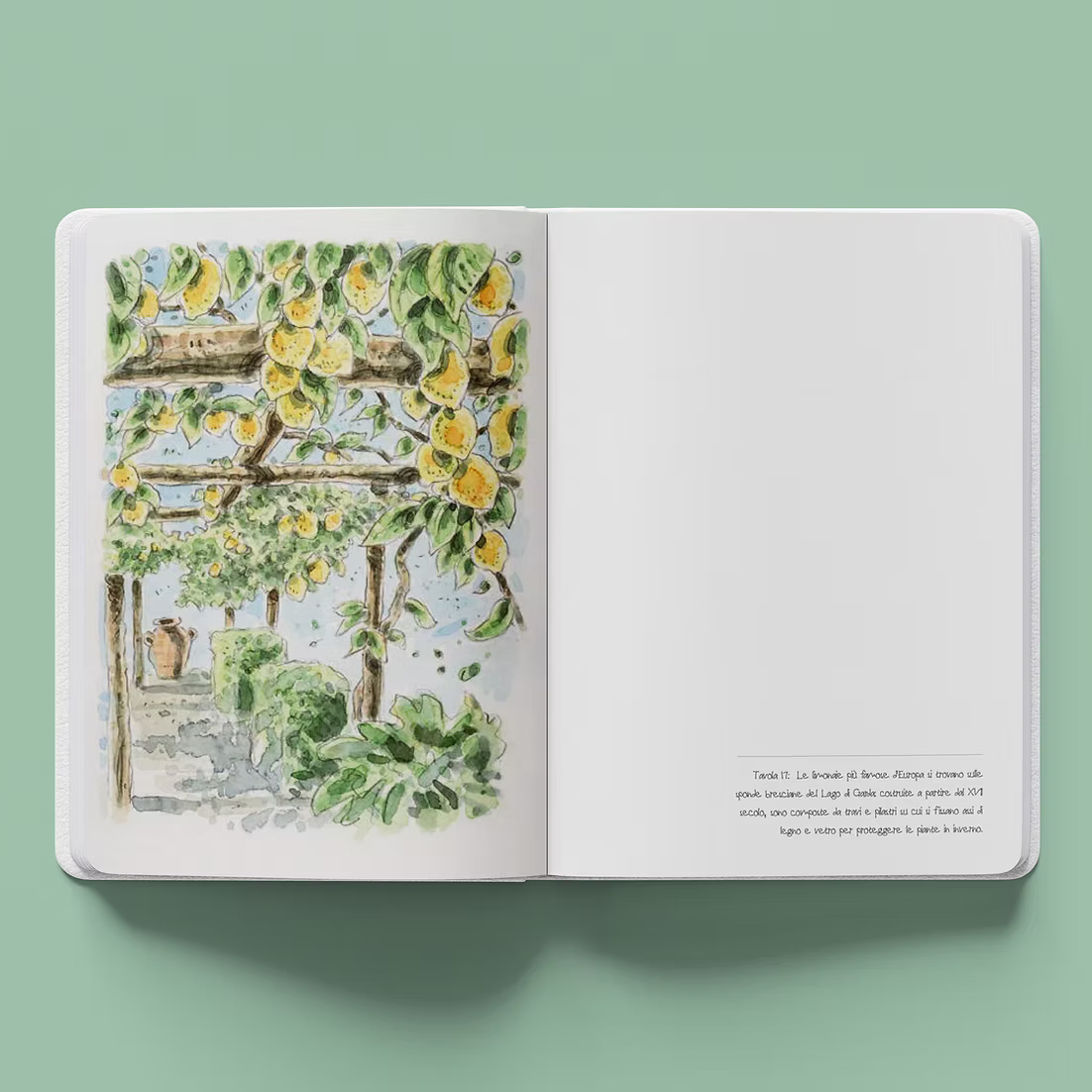 White Star - Notebook Giardini Acquerelli National Geographic 14,5×21 cm
