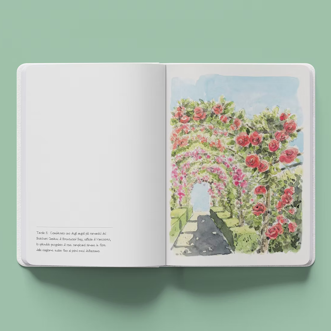 White Star - Notebook Giardini Acquerelli National Geographic 14,5×21 cm