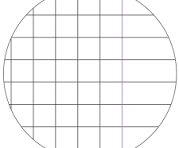 Maxi Quaderno A4 Rigatura Q 2°-3° Elementare – Tinta Unita Young 50 Special