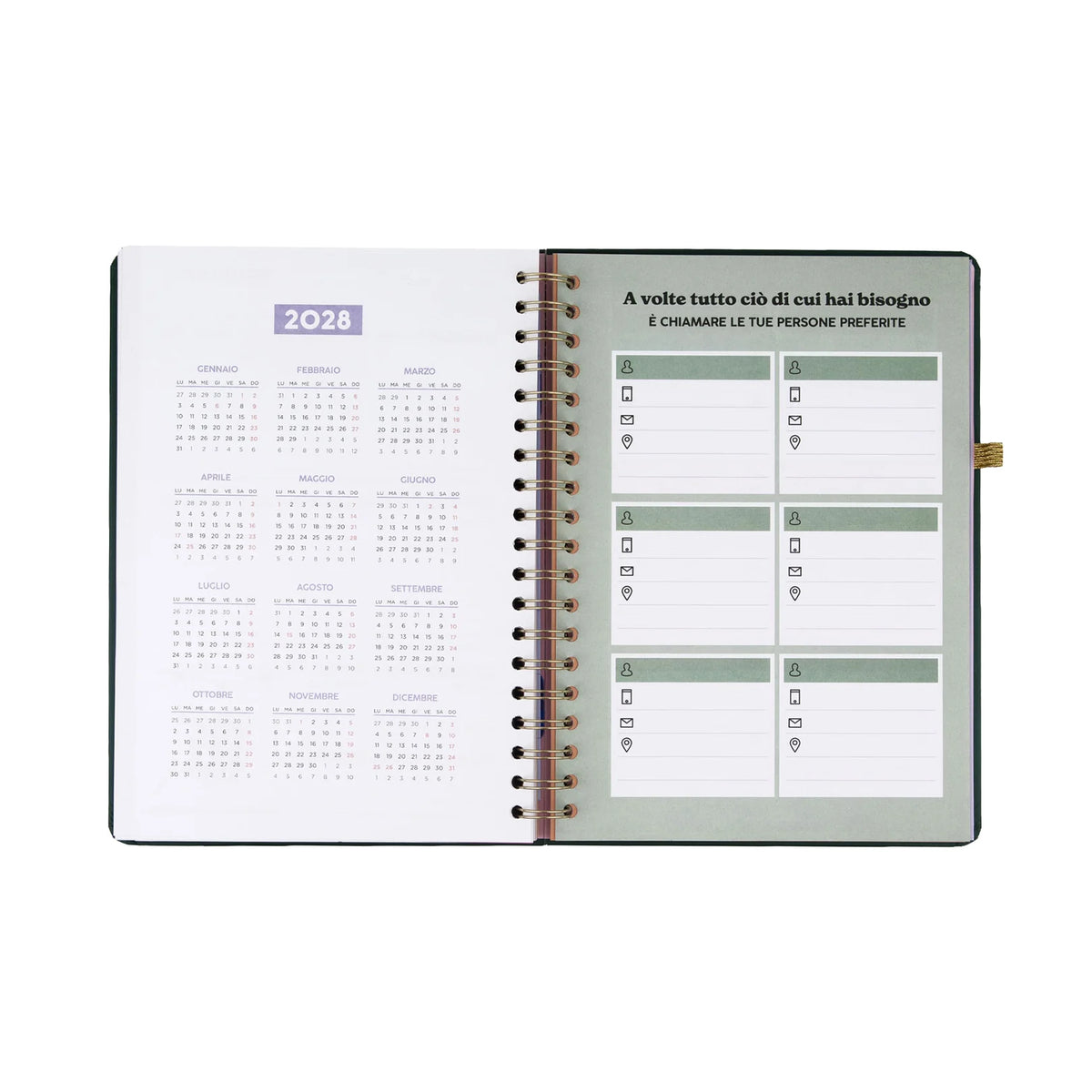 Mr.Wonderful - Agenda Settimanale XL 2027 - Il Viaggio Continua