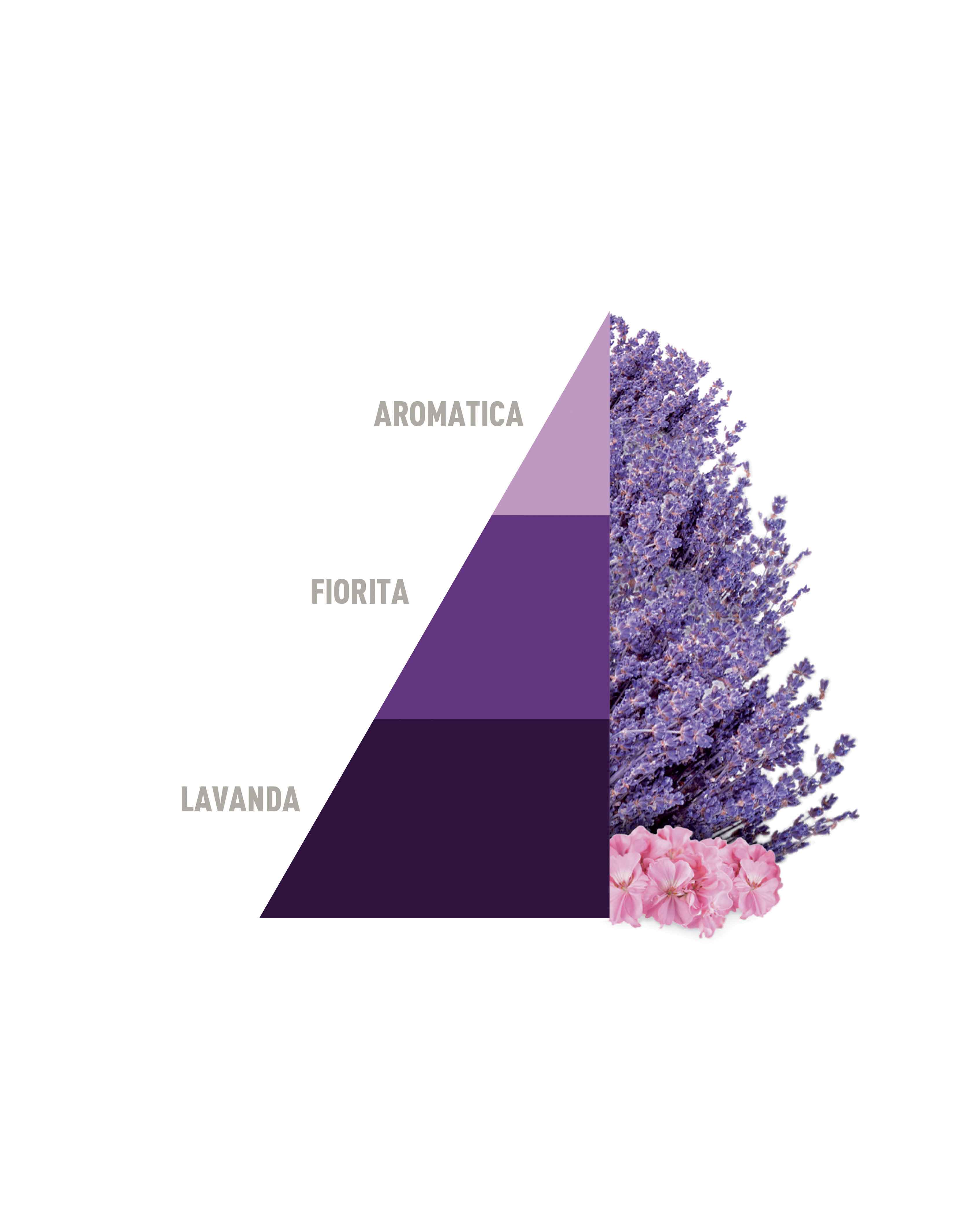 Profuma Bucato Aromatic lavender 500ml