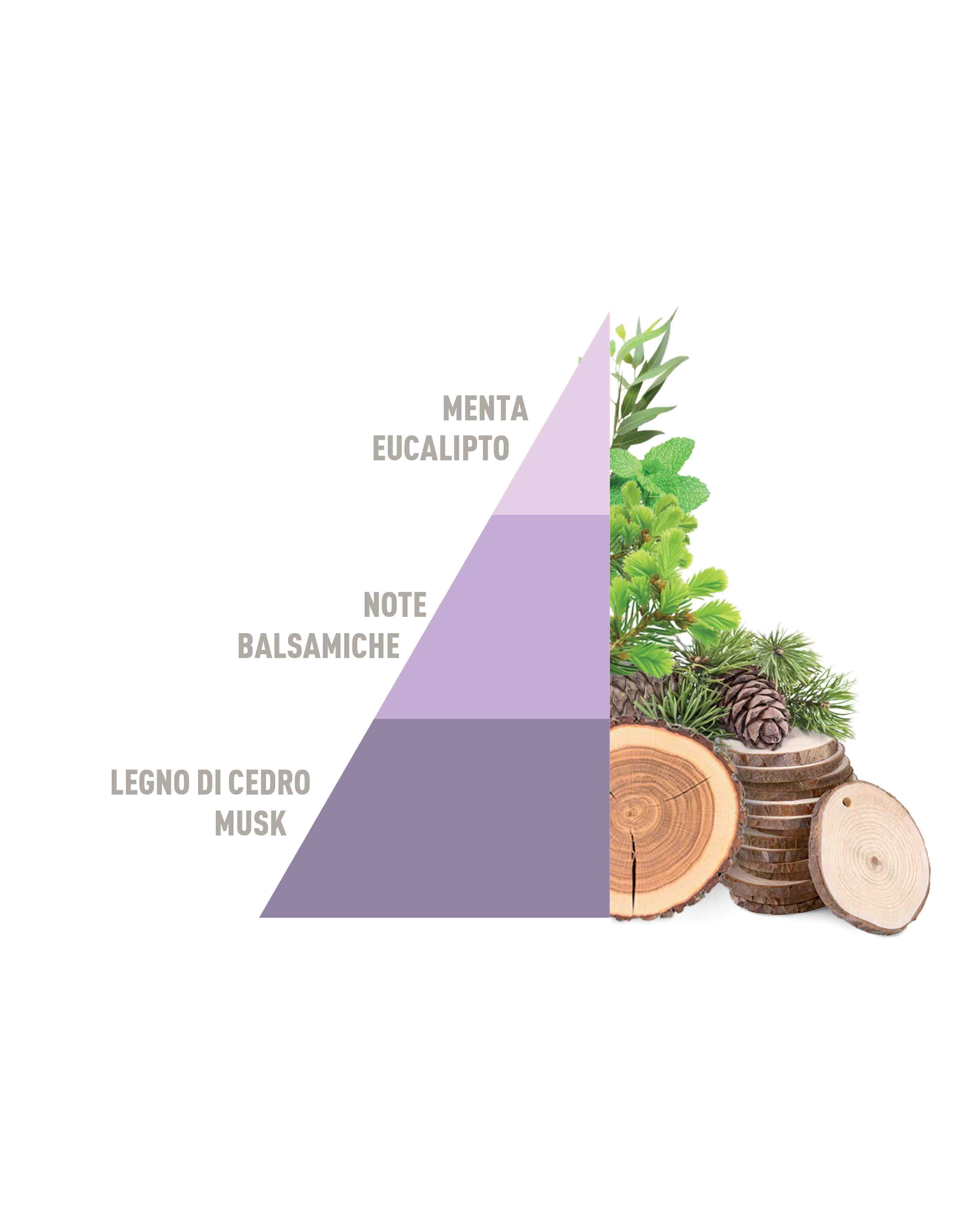 Profuma bucato Brezza di primavera 500ml