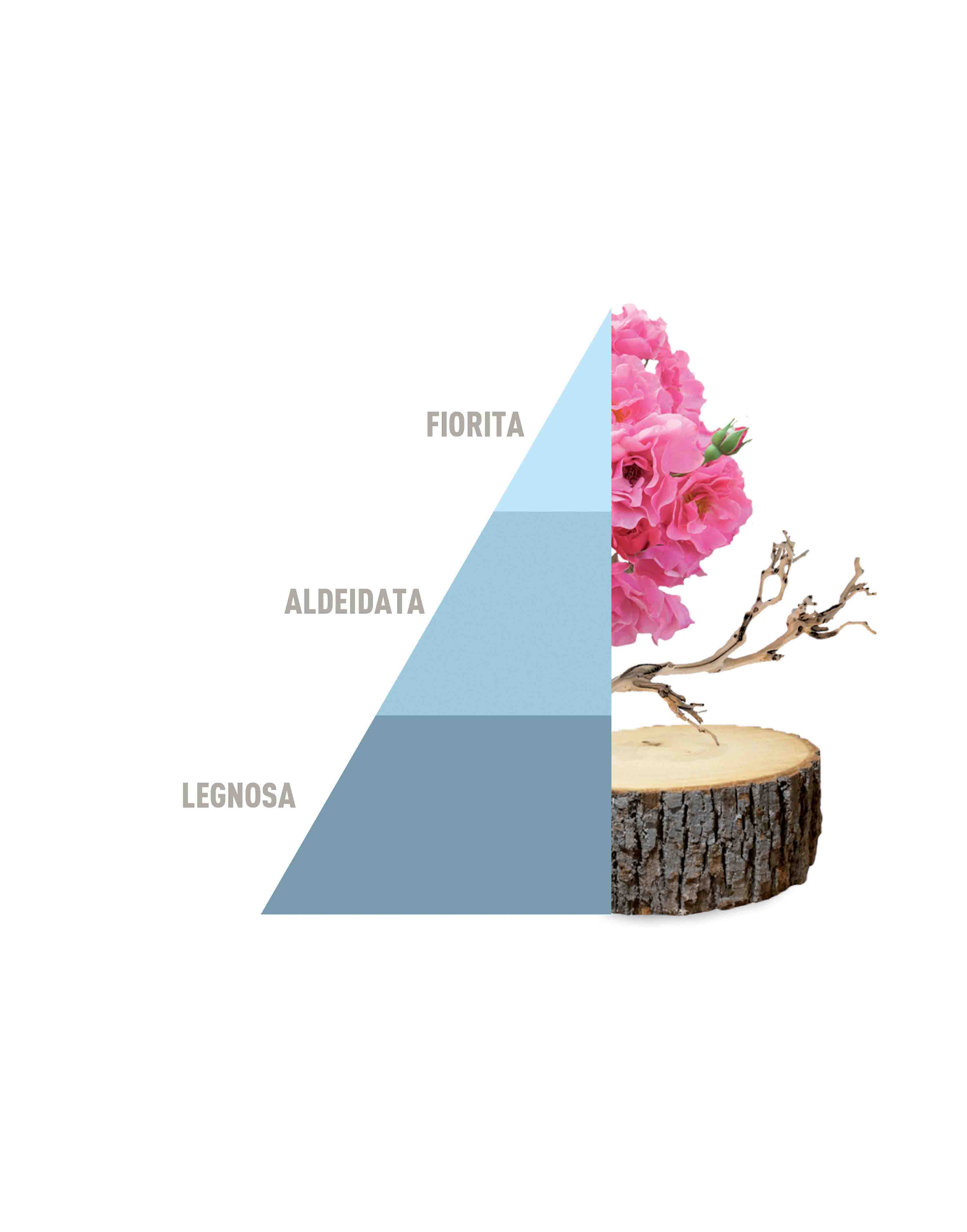 Horomia: Deo Tessuti Spray Fresh cotton