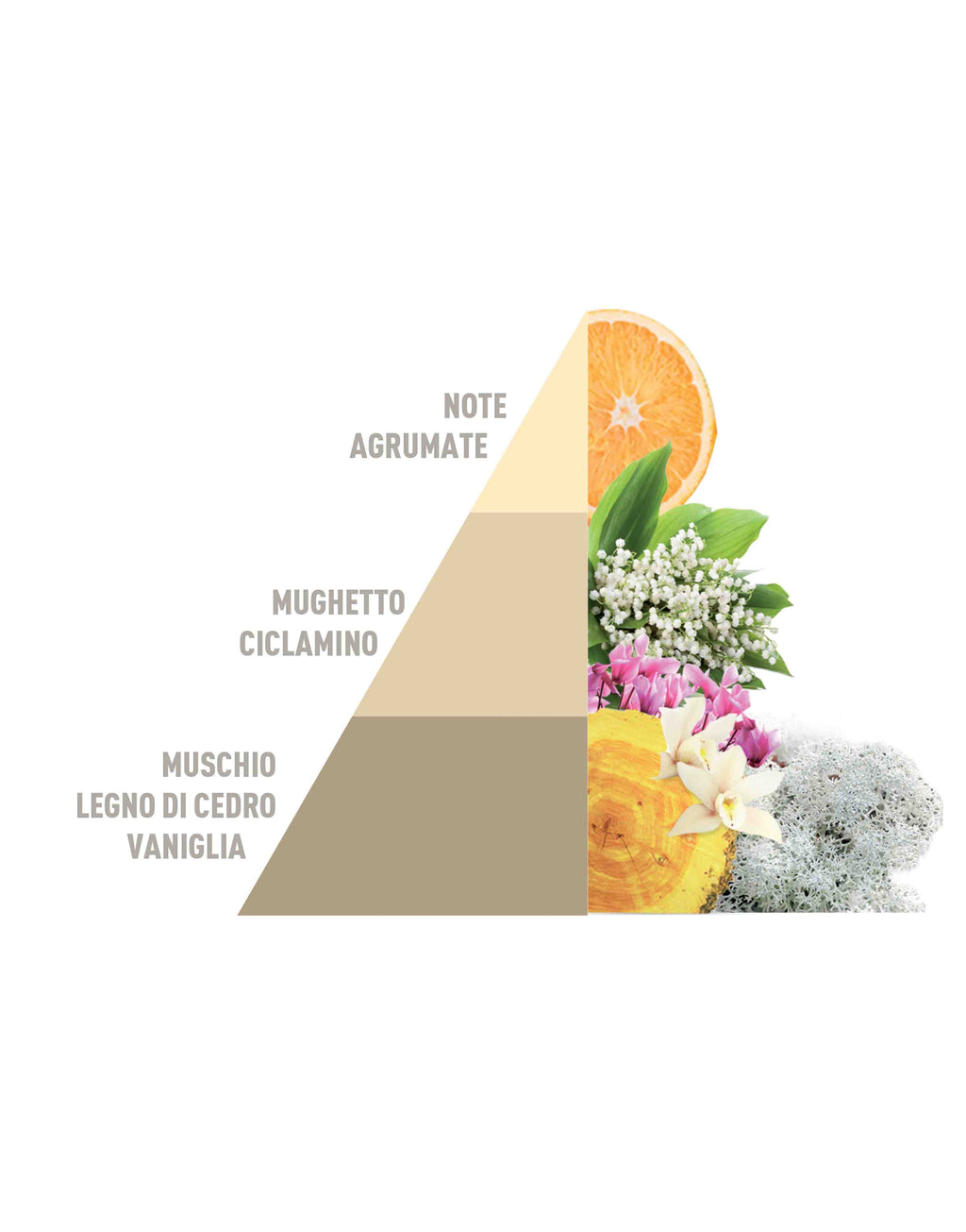 Horo1 - Imperial Soap, Vento d'Oriente, Gold Argan e Vaniglia e Mirra da 50 ml