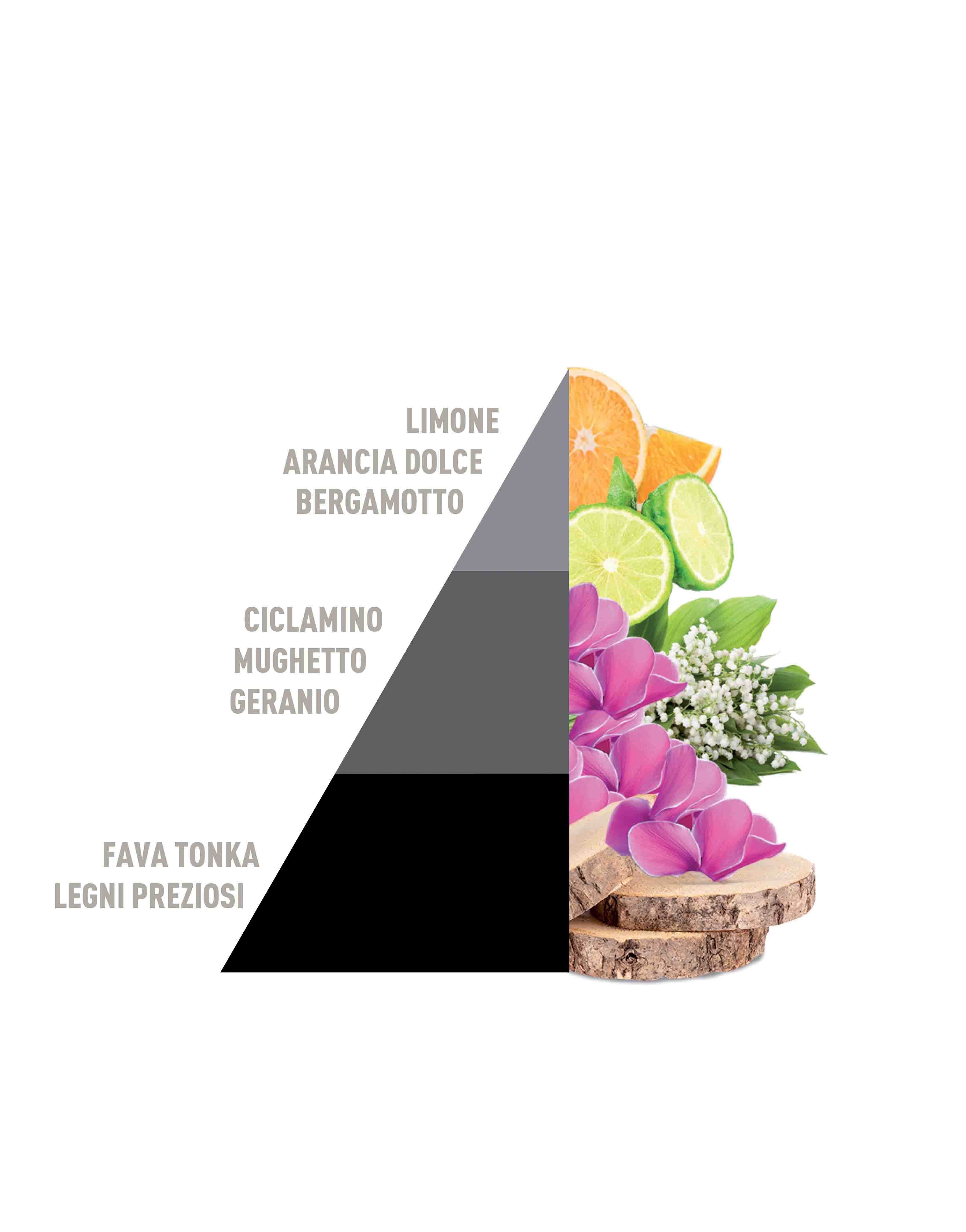 Horo4 - Liberty, White, Soffice Talco, Muschi e Loto da 50 ml